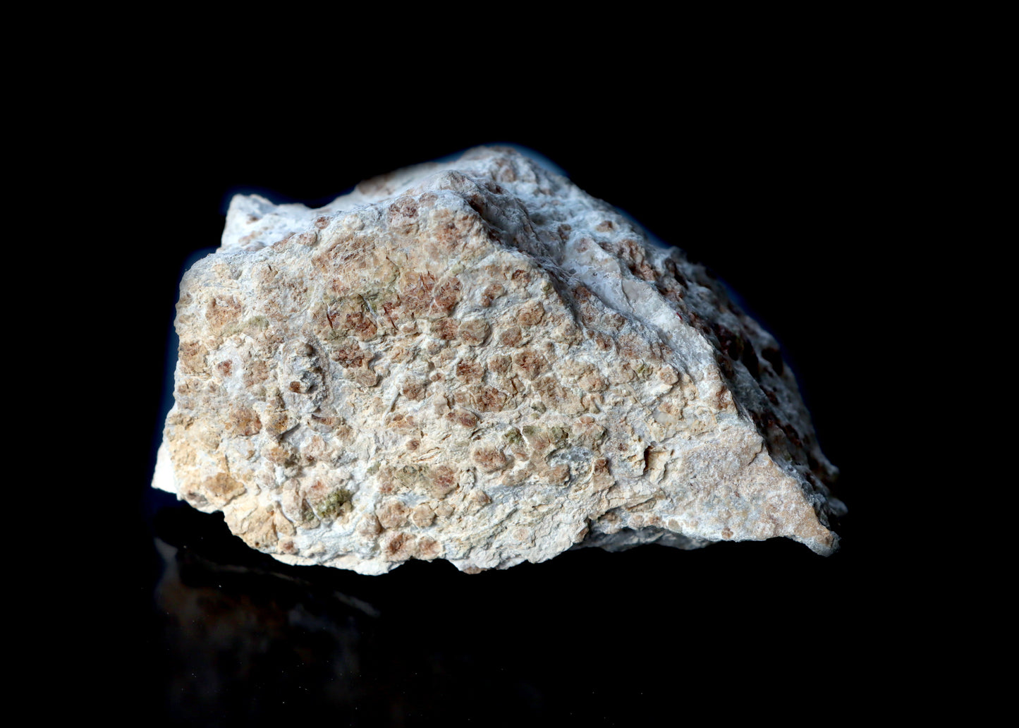 Grosulár v bludovitu - Supreme Panthers