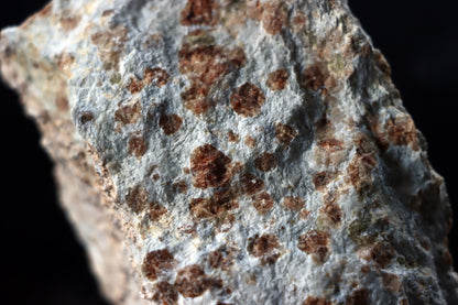 Grosulár v bludovitu - Supreme Panthers