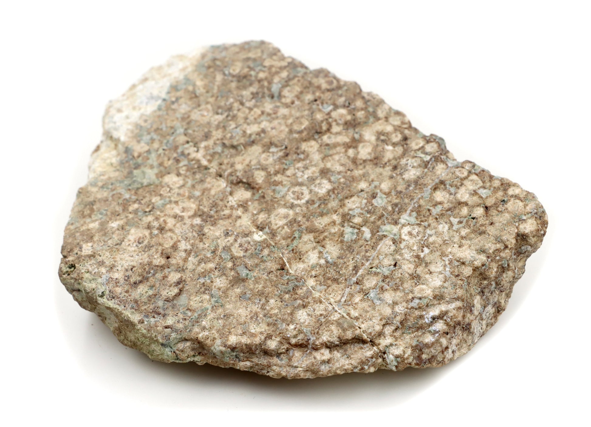 Grosulár v bludovitu surový - Supreme Panthers