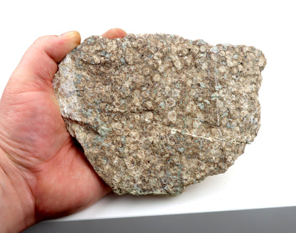 Grosulár v bludovitu surový - Supreme Panthers