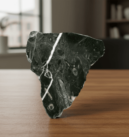 Habrůvecký vápenec s deskatým korálem a mechovkami - Supreme Panthers