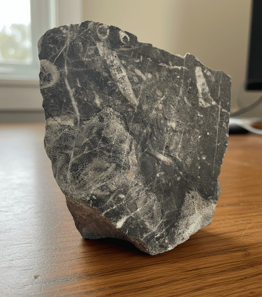 Habrůvecký vápenec s drsnatými a deskatými korály - Supreme Panthers