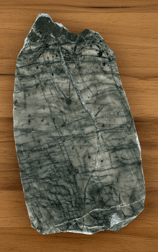 Habrůvecký vápenec se stromatoporou - Supreme Panthers