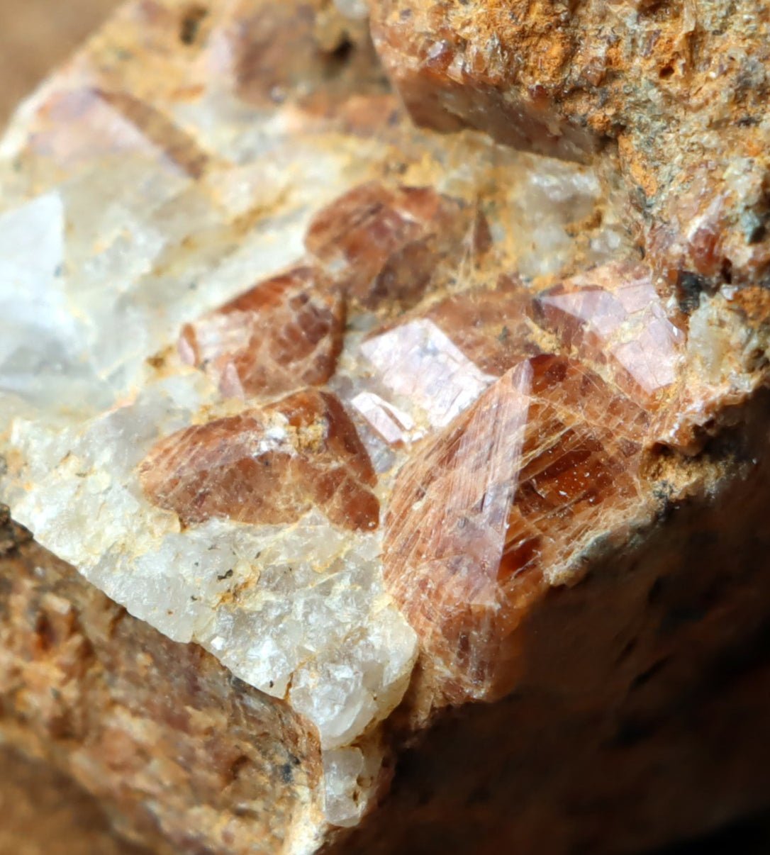 Hesonit v dutině ortoklasu - Supreme Panthers