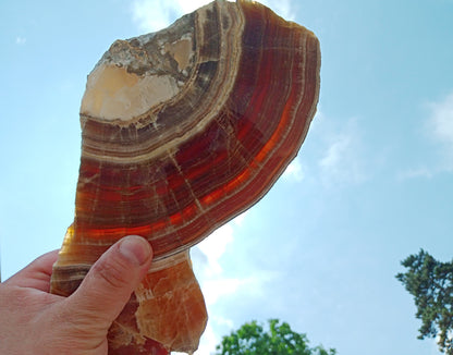 Hnědý vrstvený aragonit - Supreme Panthers