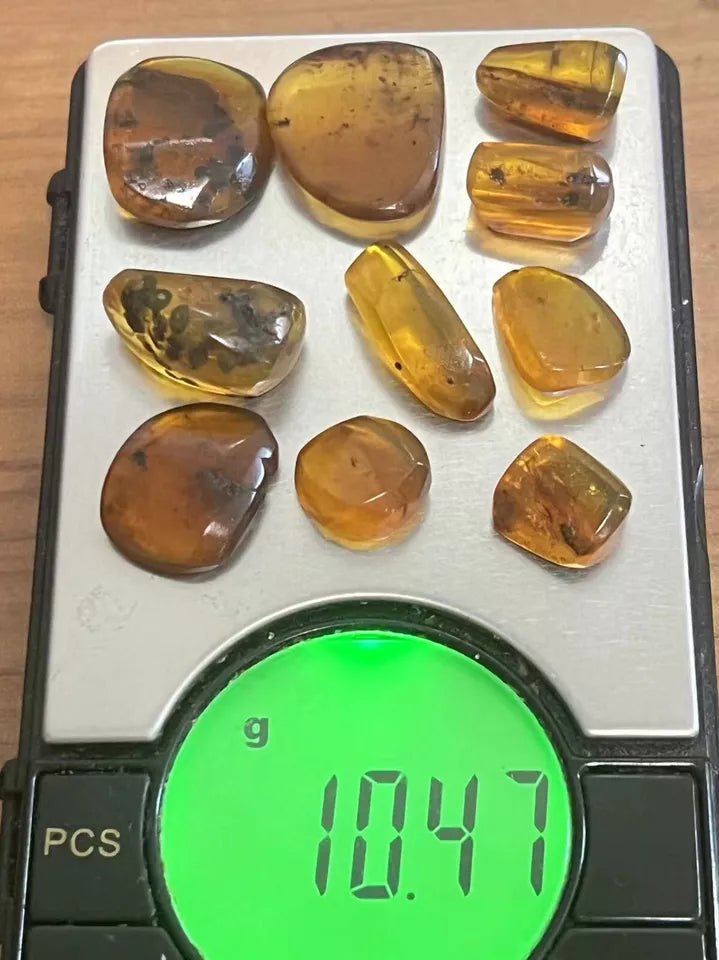 Jantar s hmyzem set 10 ks - Supreme Panthers