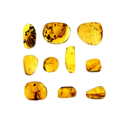 Jantar s hmyzem set 10 ks - Supreme Panthers