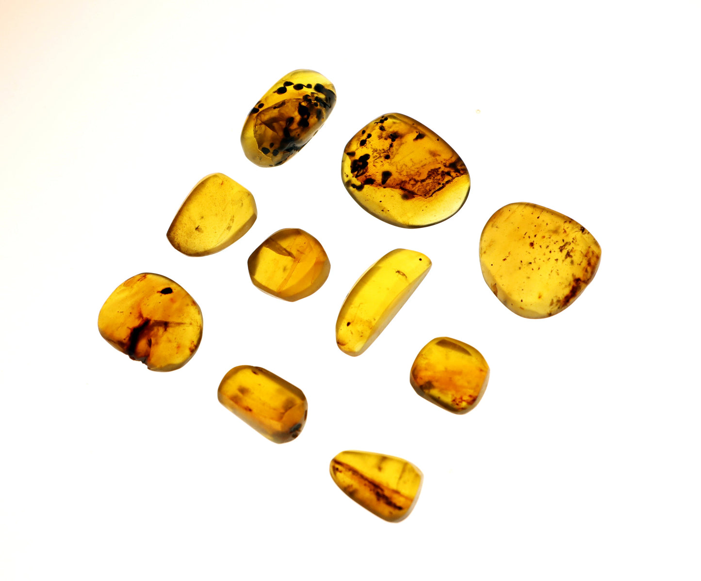 Jantar s hmyzem set 10 ks - Supreme Panthers