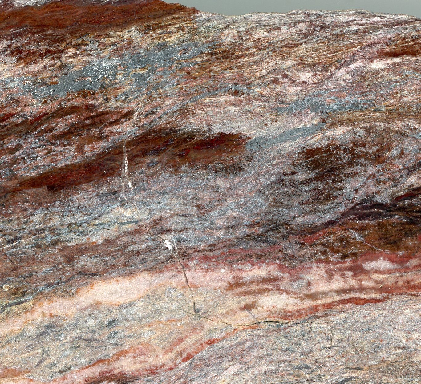 Jaspis - Supreme Panthers