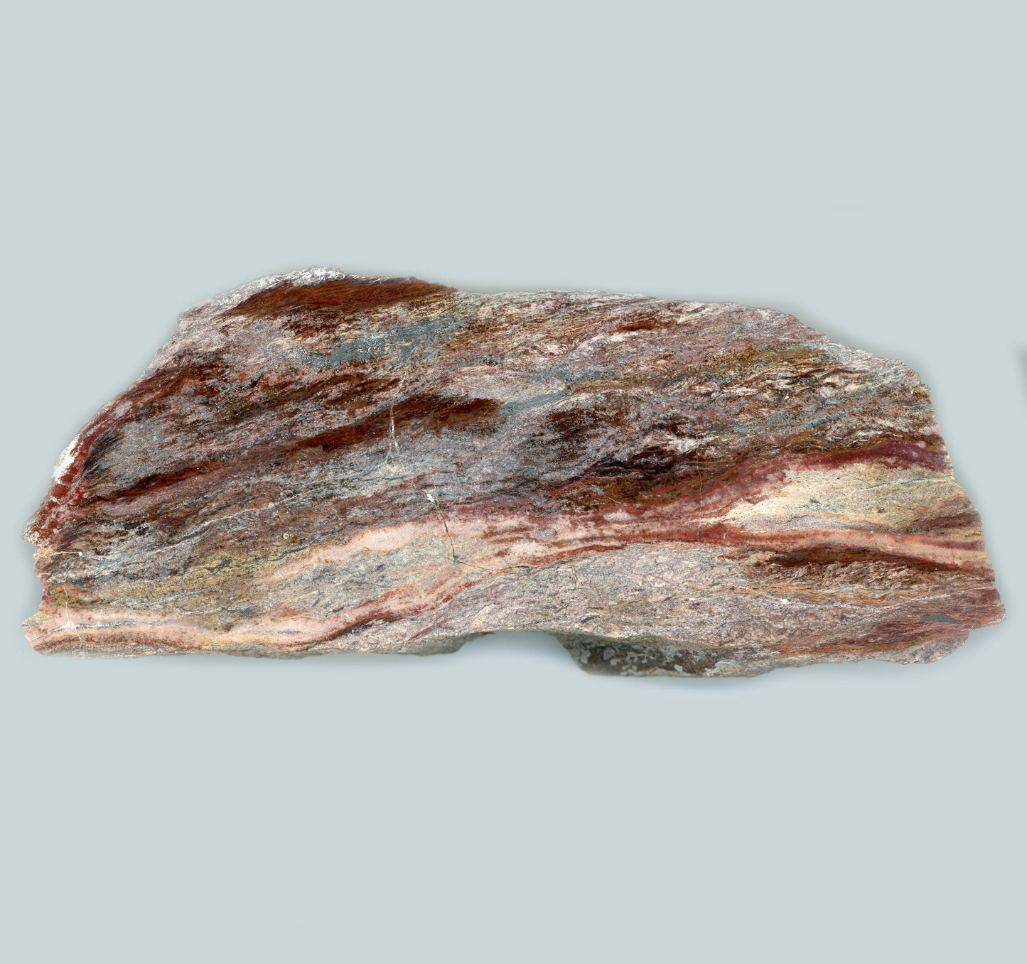 Jaspis - Supreme Panthers