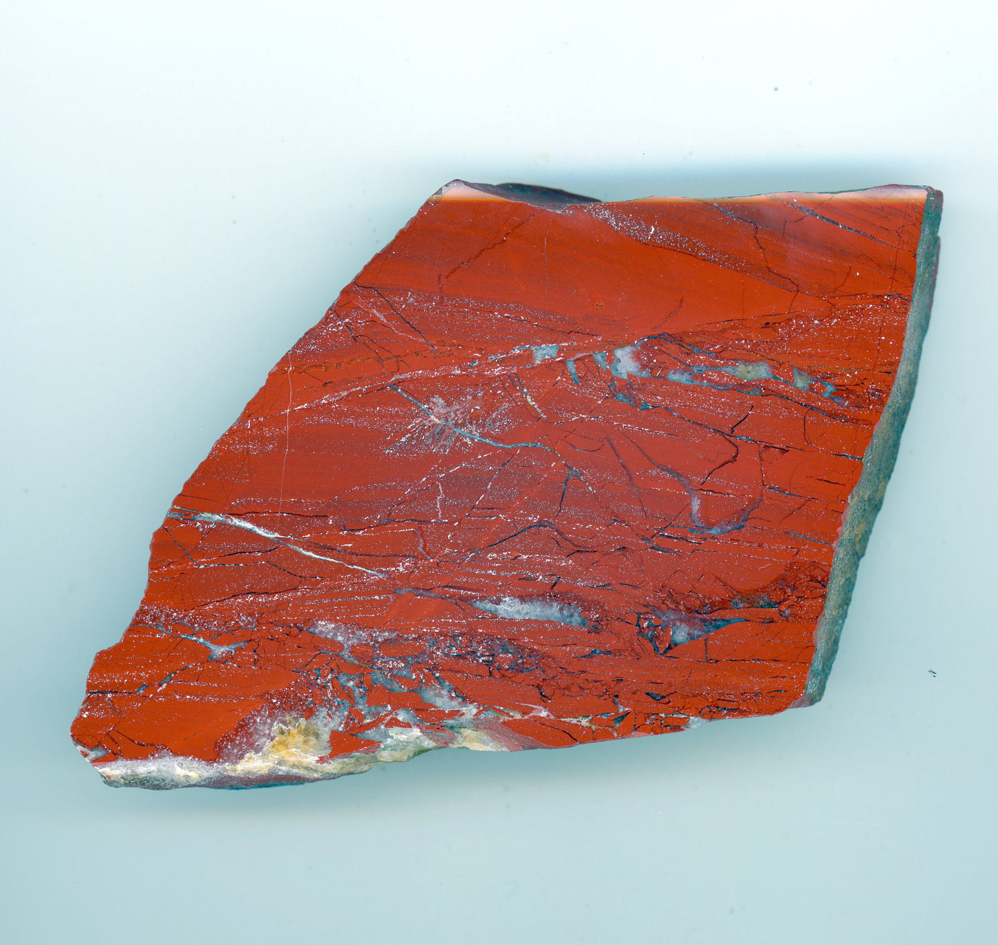 Jaspis - Supreme Panthers