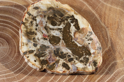 Jehličnanaté dřevo - Supreme Panthers