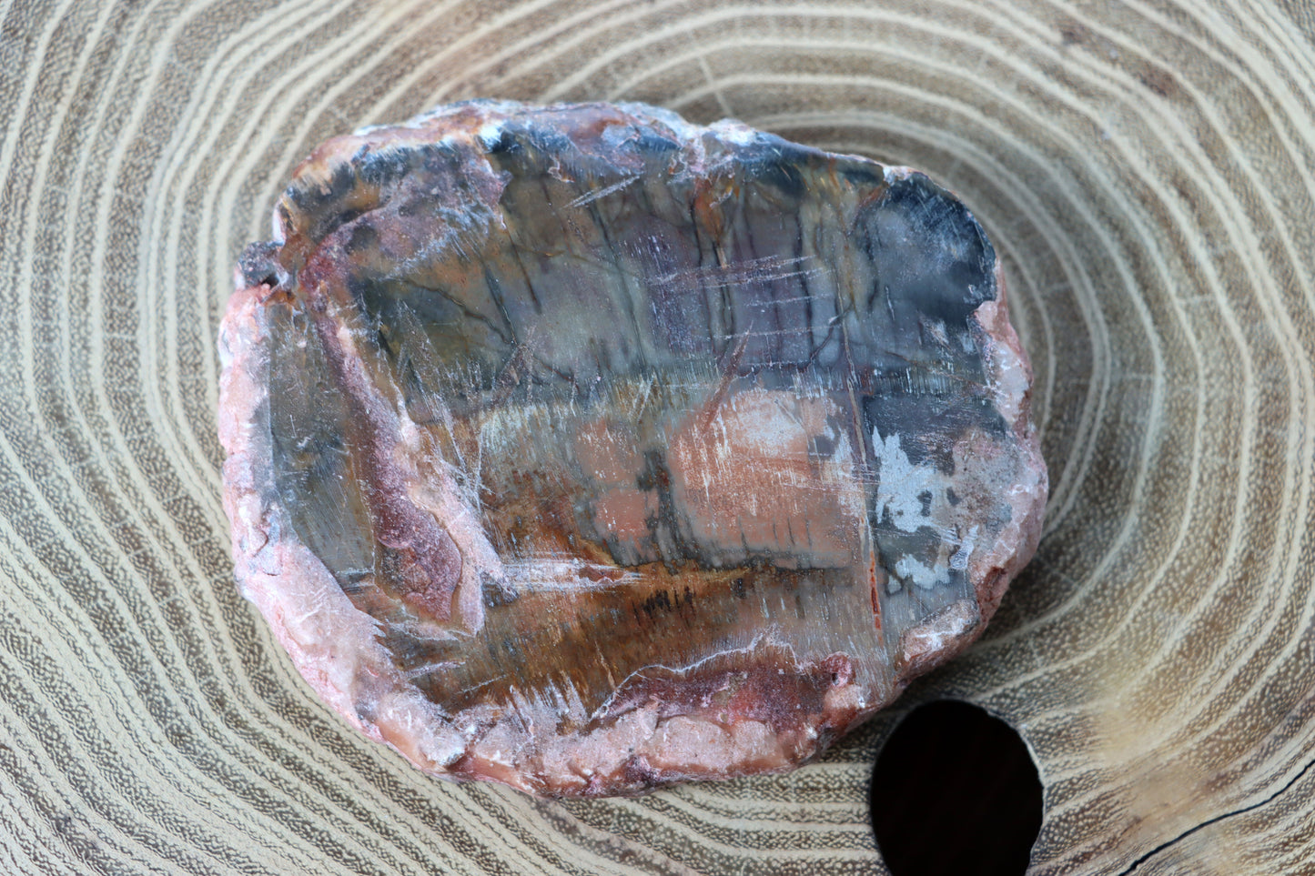 Jehličnanaté dřevo - Supreme Panthers