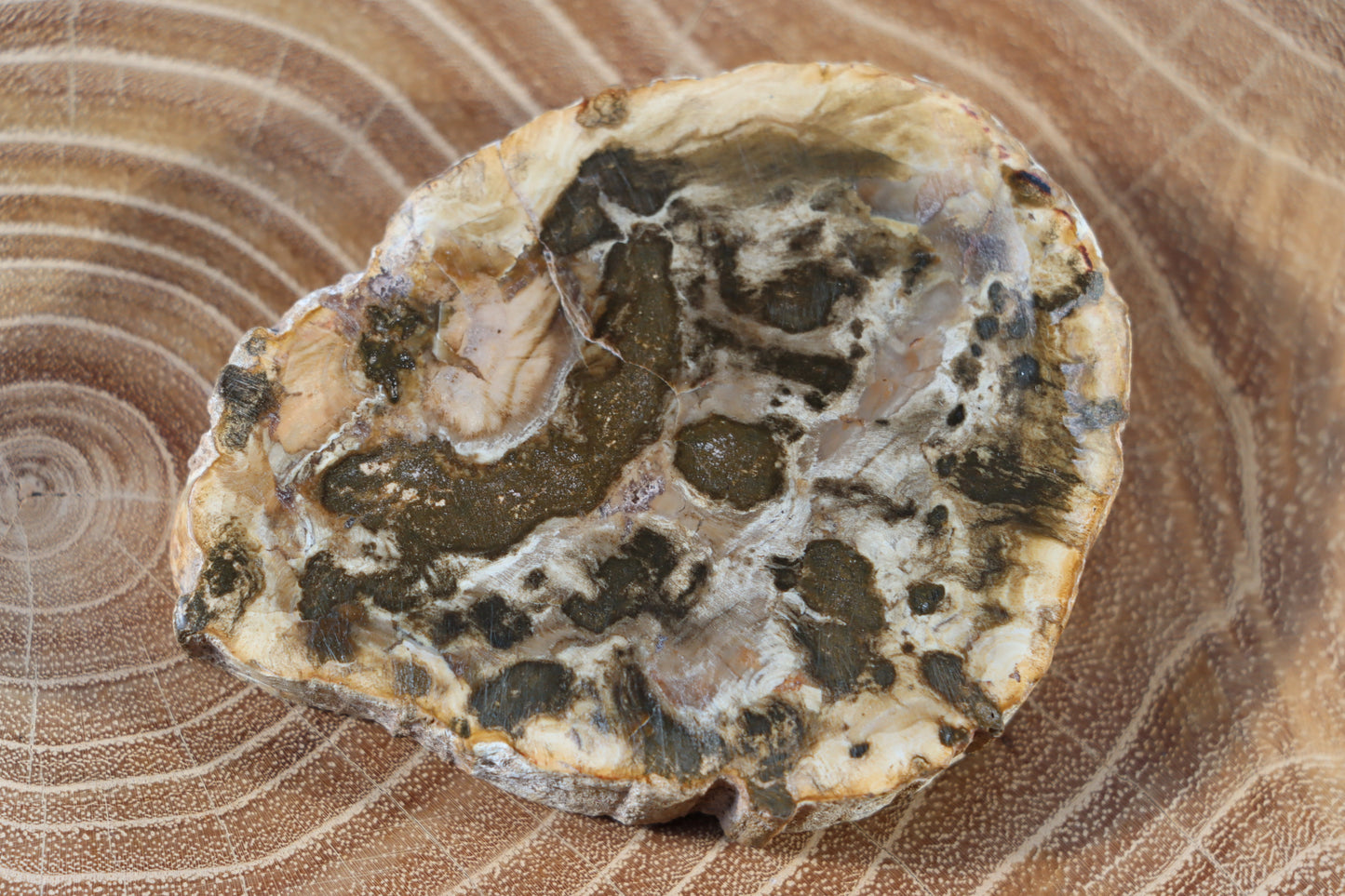 Jehličnanaté dřevo - Supreme Panthers