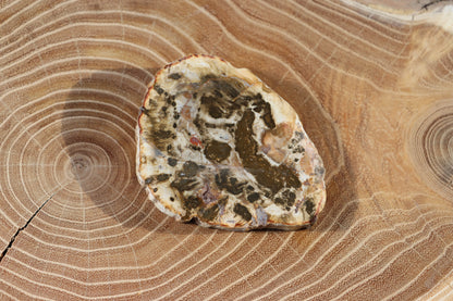 Jehličnanaté dřevo - Supreme Panthers