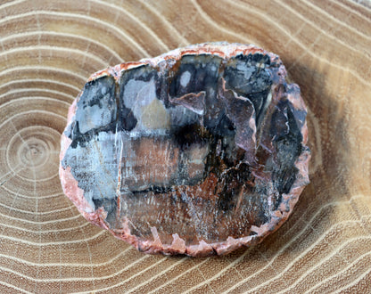 Jehličnanaté dřevo - Supreme Panthers