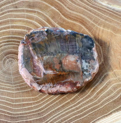 Jehličnanaté dřevo - Supreme Panthers