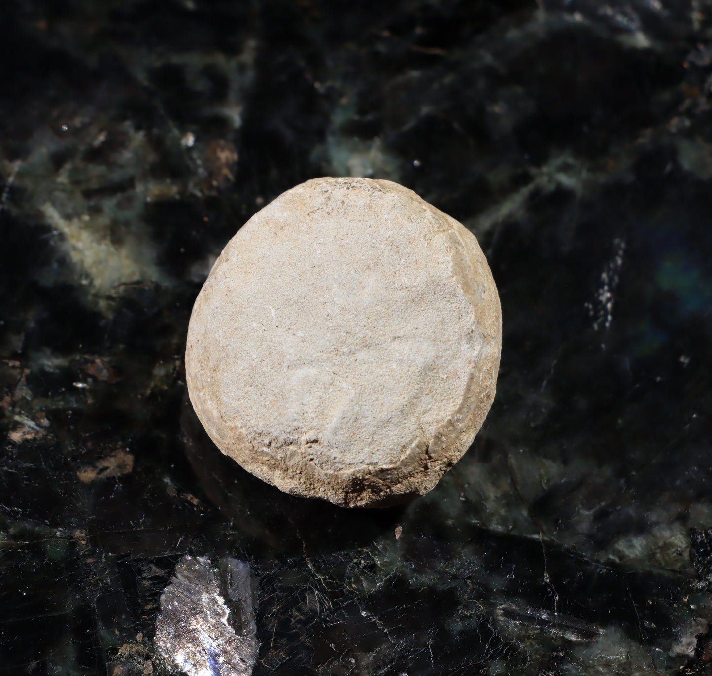 Ježovka kamenné jádro - Supreme Panthers