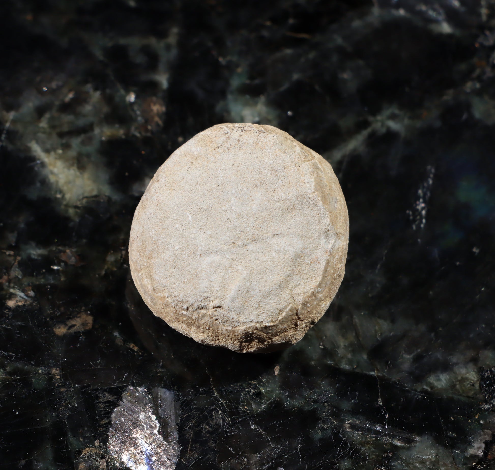 Ježovka kamenné jádro - Supreme Panthers