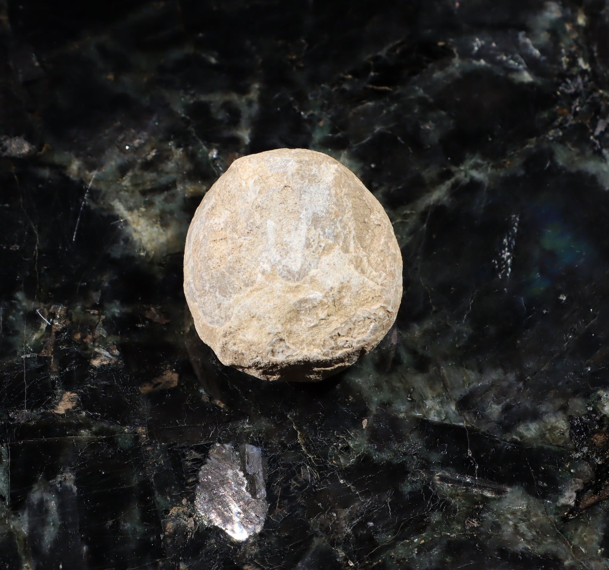 Ježovka kamenné jádro - Supreme Panthers