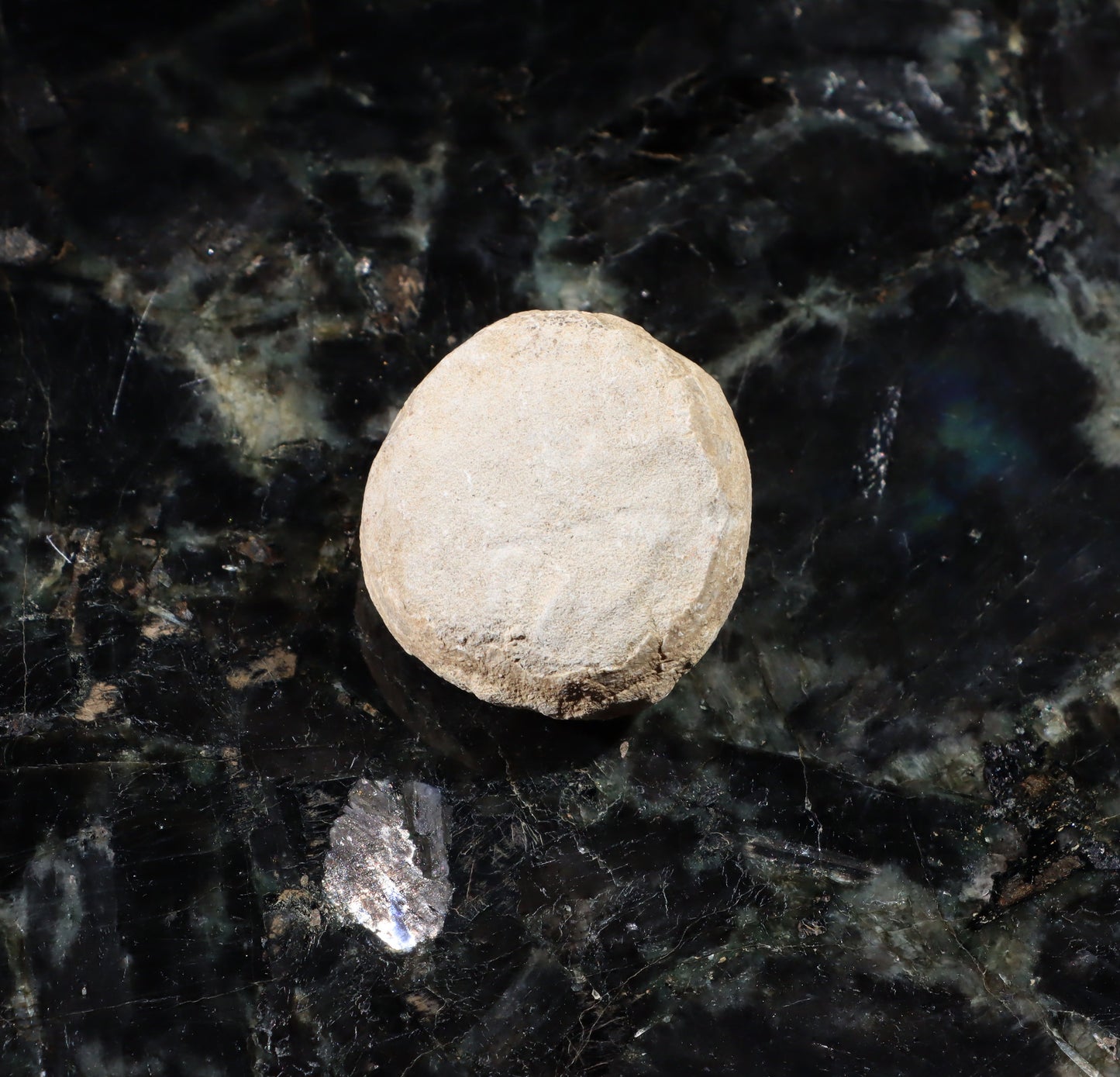 Ježovka kamenné jádro - Supreme Panthers