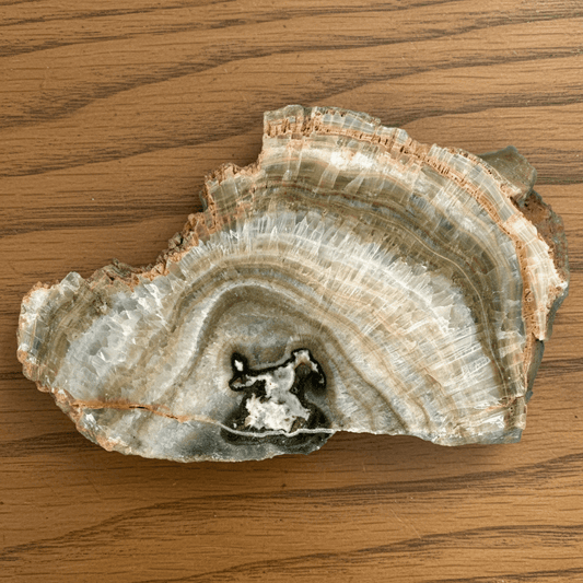 Kalcit se sintrovou kůrou - Supreme Panthers