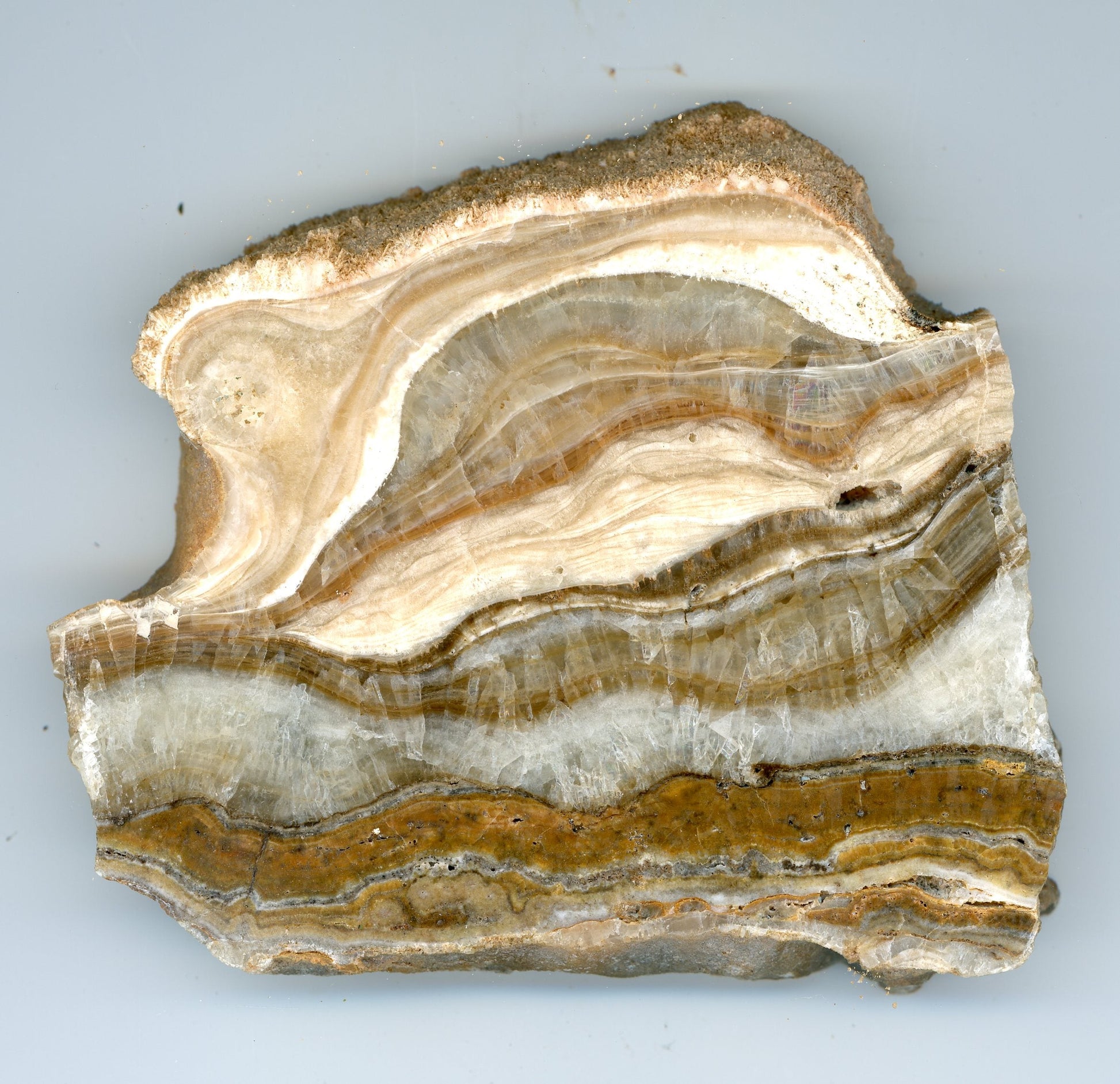 Kalcit se sintrovou kůrou a krápníkem - Supreme Panthers