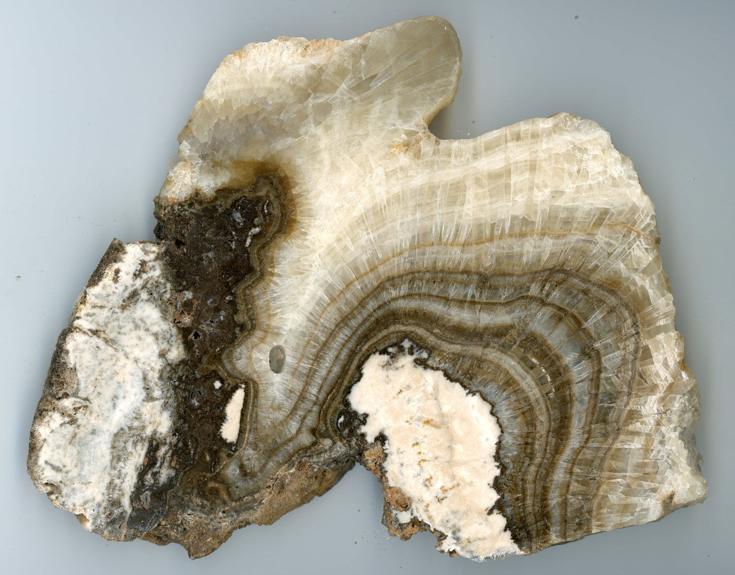 Kalcit vrstvený - krápník - Supreme Panthers