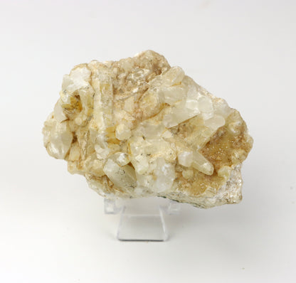 Kalcitová drúza na wollastonitu - Supreme Panthers