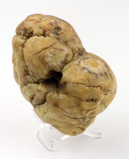 Karneol surový na křišťálu v dutině geody - Supreme Panthers