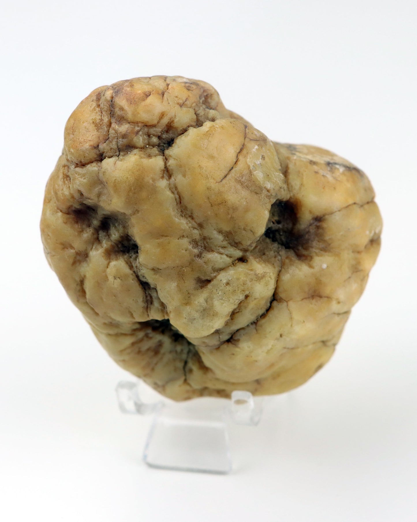 Karneol surový na křišťálu v dutině geody - Supreme Panthers