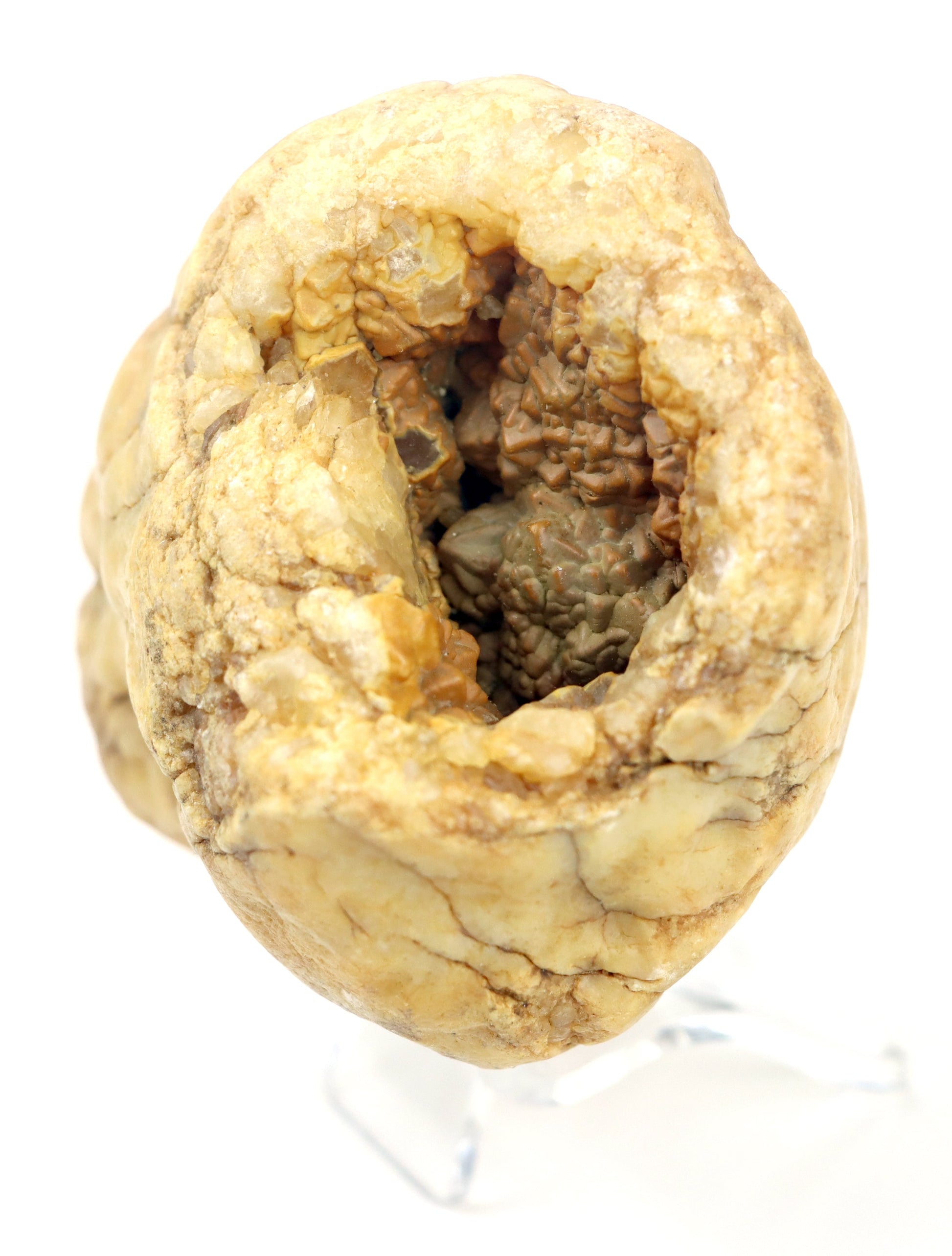 Karneol surový na křišťálu v dutině geody - Supreme Panthers