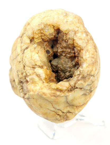 Karneol surový na křišťálu v dutině geody - Supreme Panthers