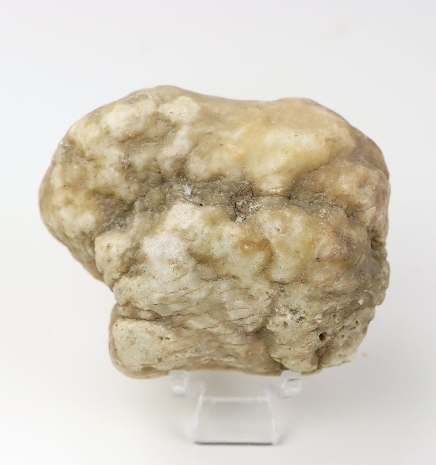 Kašolong na perimorfóze po kalcitu v geodě leštěná - Supreme Panthers