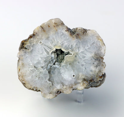 Kašolong na perimorfóze po kalcitu v geodě leštěná - Supreme Panthers