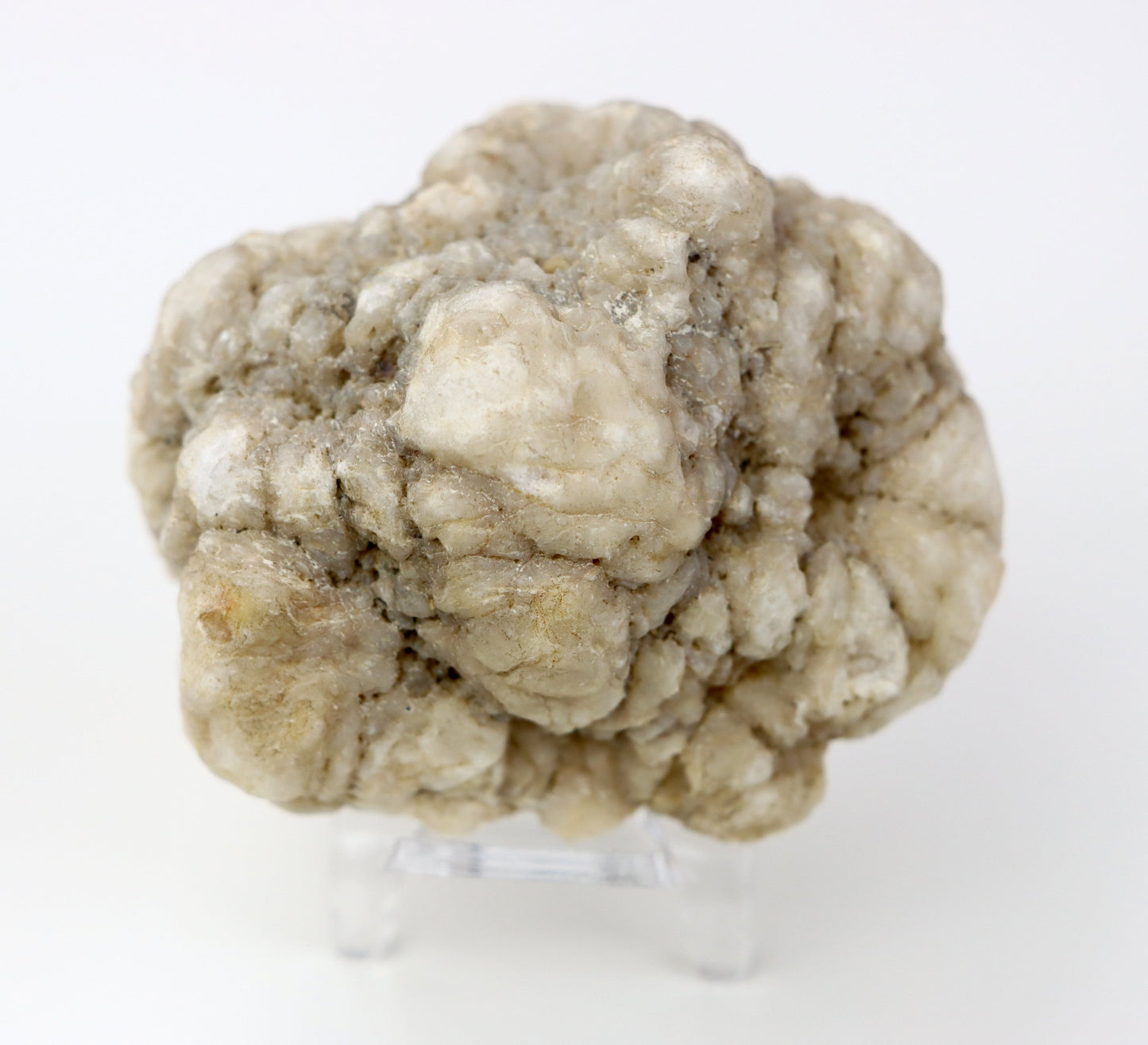 Kašolong na perimorfóze po kalcitu v geodě leštěná - Supreme Panthers