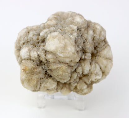 Kašolong na perimorfóze po kalcitu v geodě leštěná - Supreme Panthers