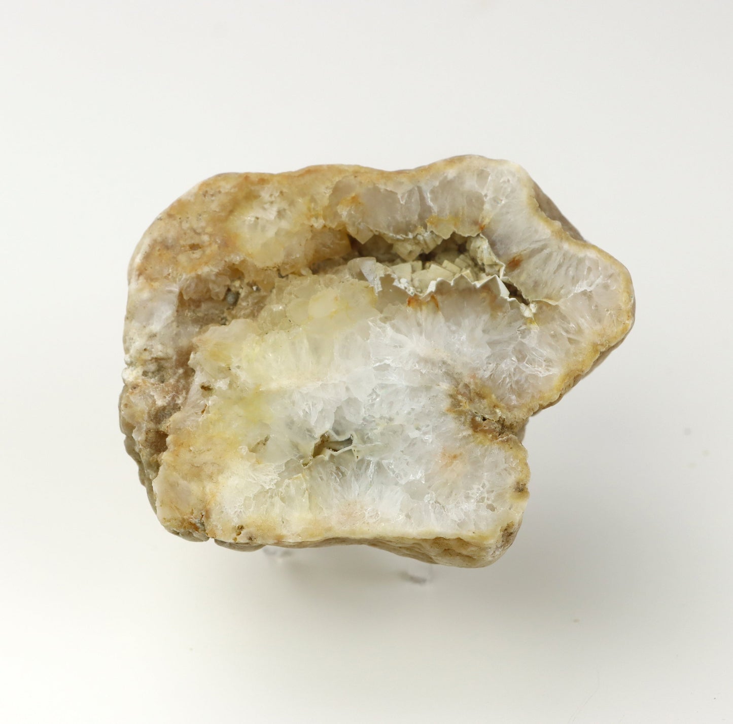 Kašolong na perimorfóze po kalcitu v geodě leštěná - Supreme Panthers