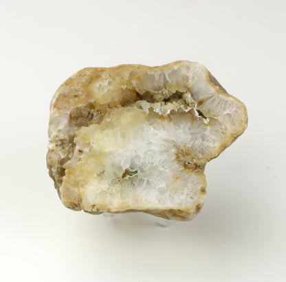 Kašolong na perimorfóze po kalcitu v geodě leštěná - Supreme Panthers