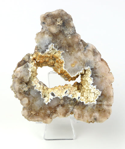 Kašolong na perimorfóze v geodě leštěná - Supreme Panthers