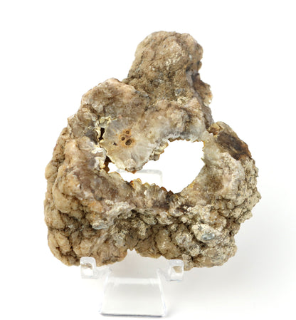 Kašolong na perimorfóze v geodě leštěná - Supreme Panthers