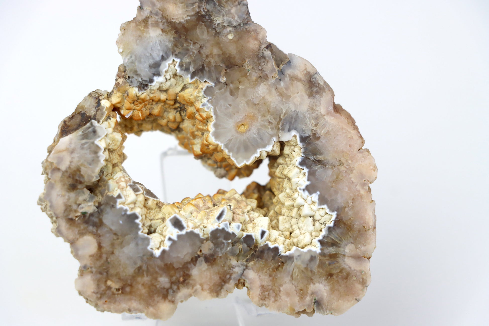 Kašolong na perimorfóze v geodě leštěná - Supreme Panthers