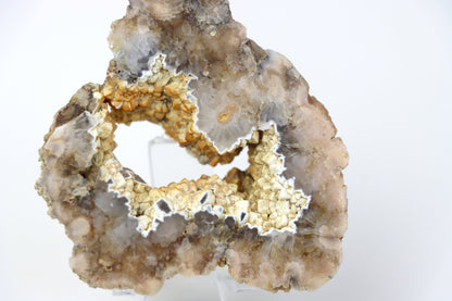 Kašolong na perimorfóze v geodě leštěná - Supreme Panthers