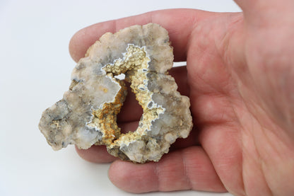 Kašolong na perimorfóze v geodě leštěná - Supreme Panthers