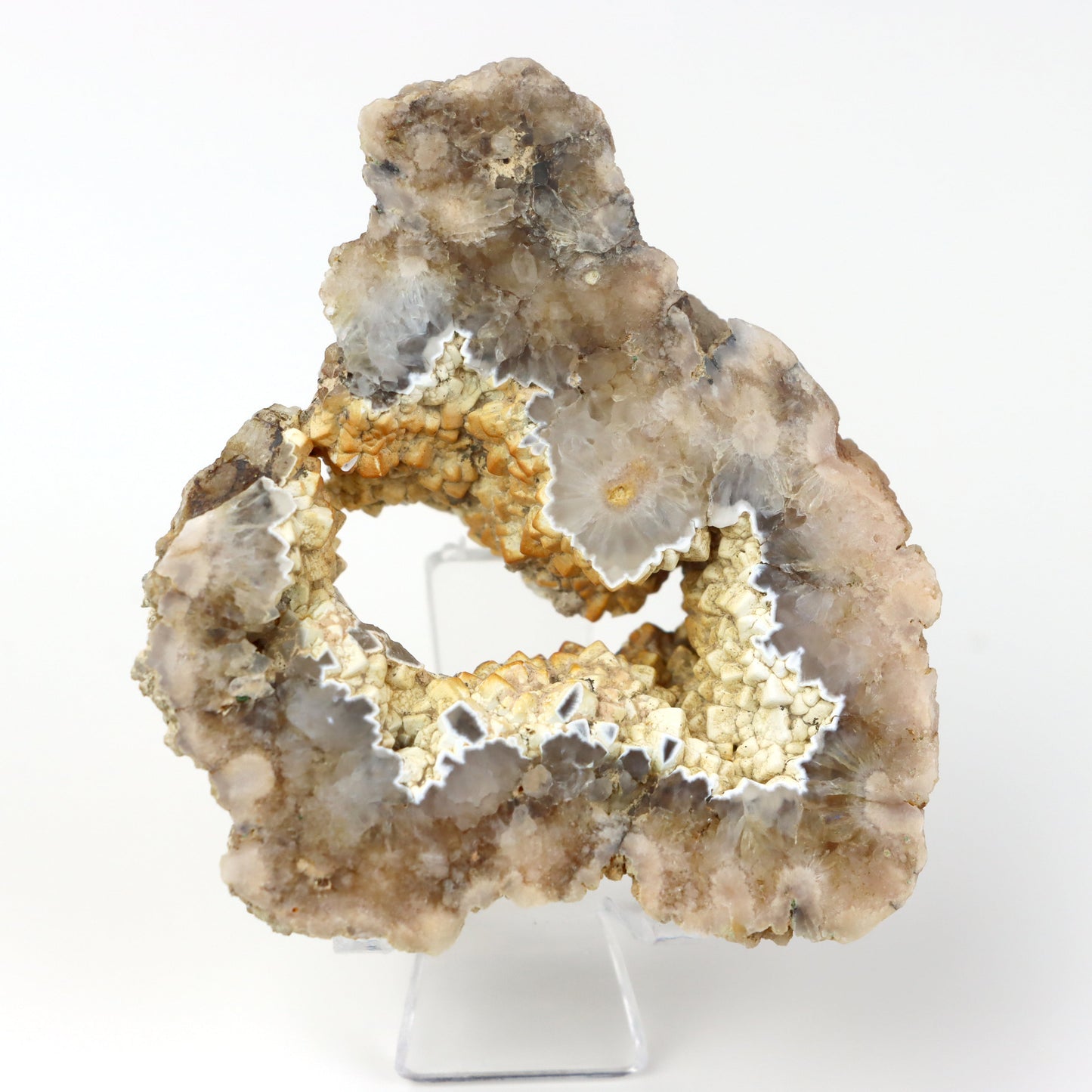 Kašolong na perimorfóze v geodě leštěná - Supreme Panthers