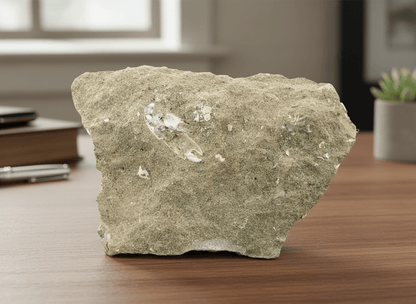 Klepítka Protocallianassa antiqua - Supreme Panthers