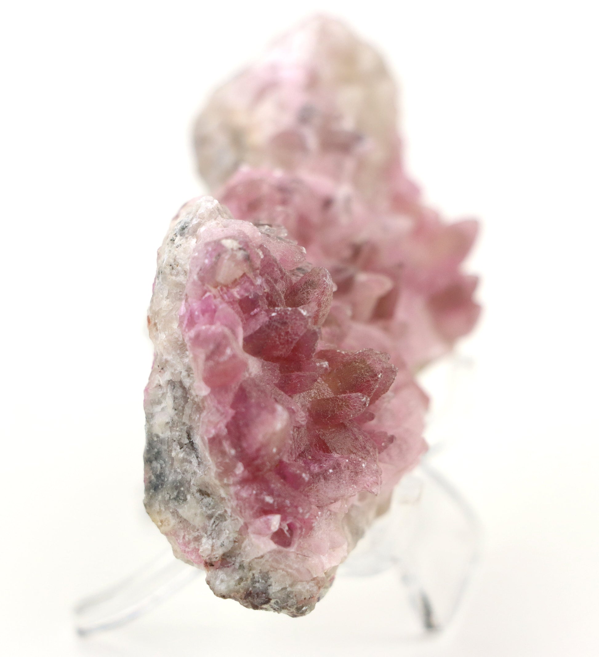 Kobaltokalcit drúza - Supreme Panthers