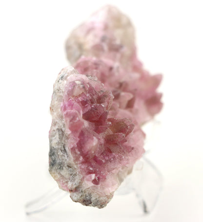 Kobaltokalcit drúza - Supreme Panthers