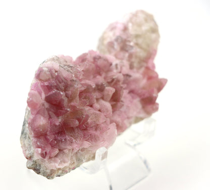 Kobaltokalcit drúza - Supreme Panthers