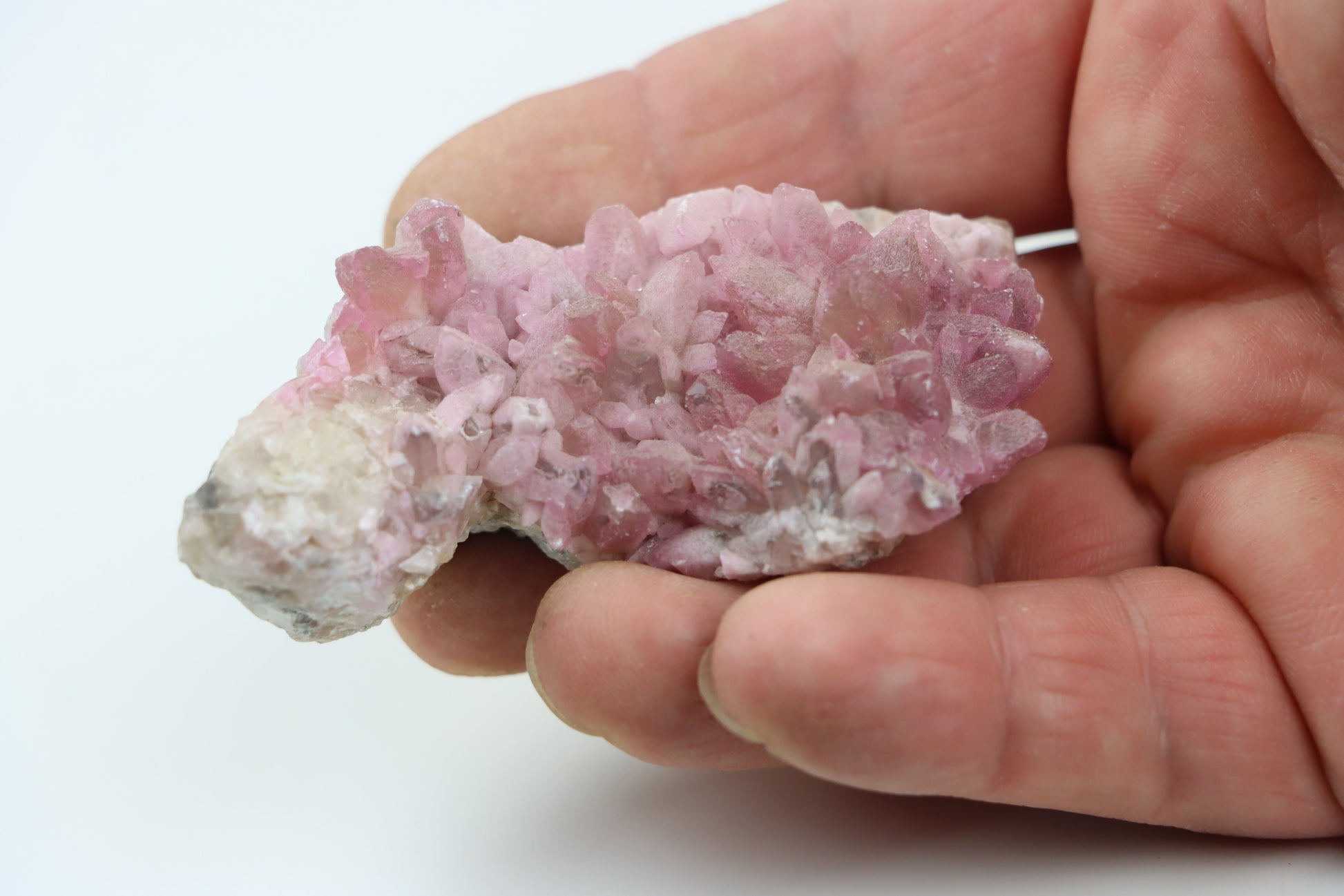 Kobaltokalcit drúza - Supreme Panthers